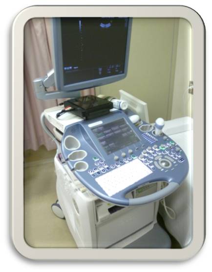 超音波診断装置：GE Voluson E6